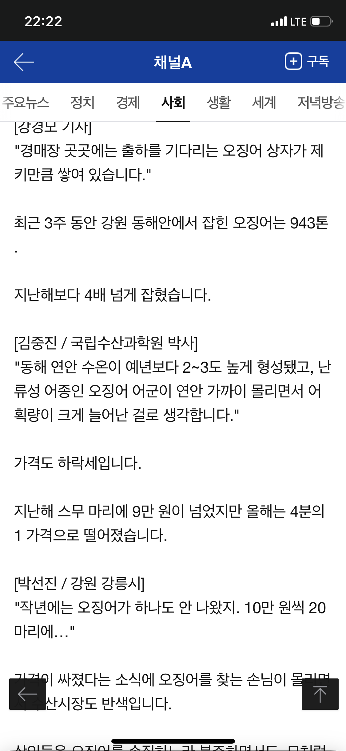 풍어 이미지
