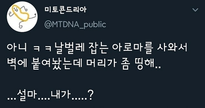 머리띵 이미지