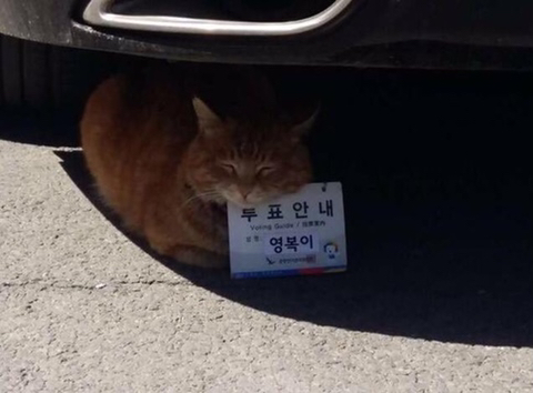 인성 이미지