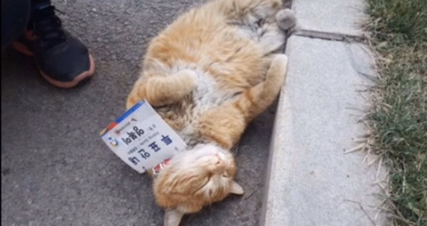 인성 이미지