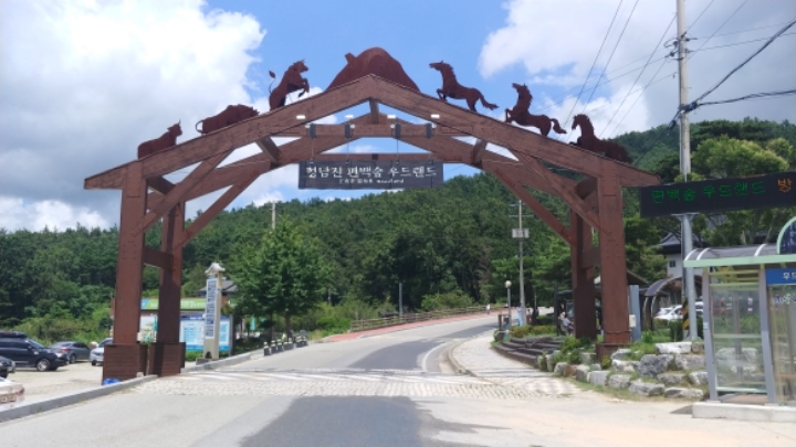 팬타곤숲이야기 이미지