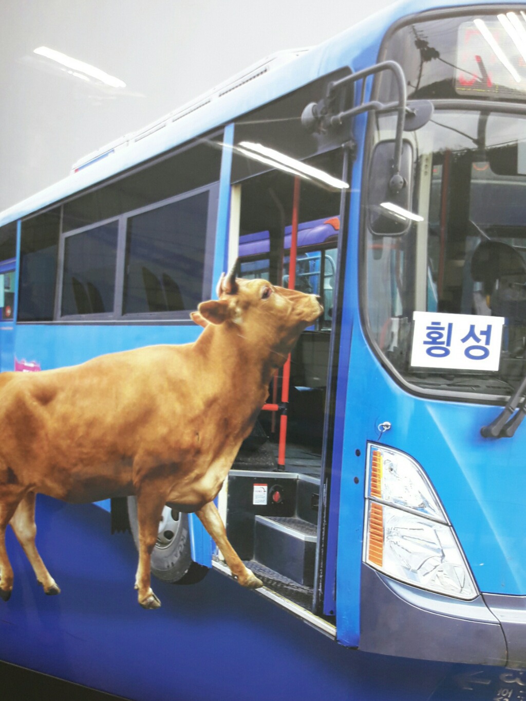 횡성 이미지