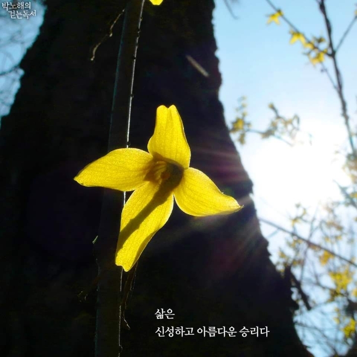 토요일 이미지