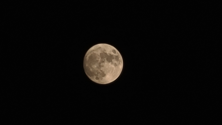 바븐 이미지