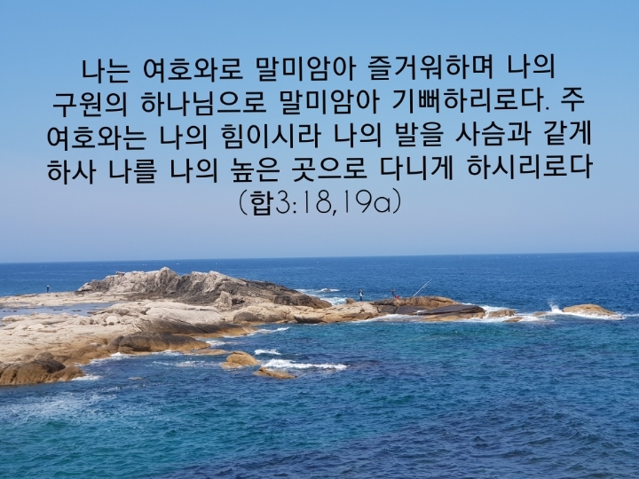 샬롬 이미지