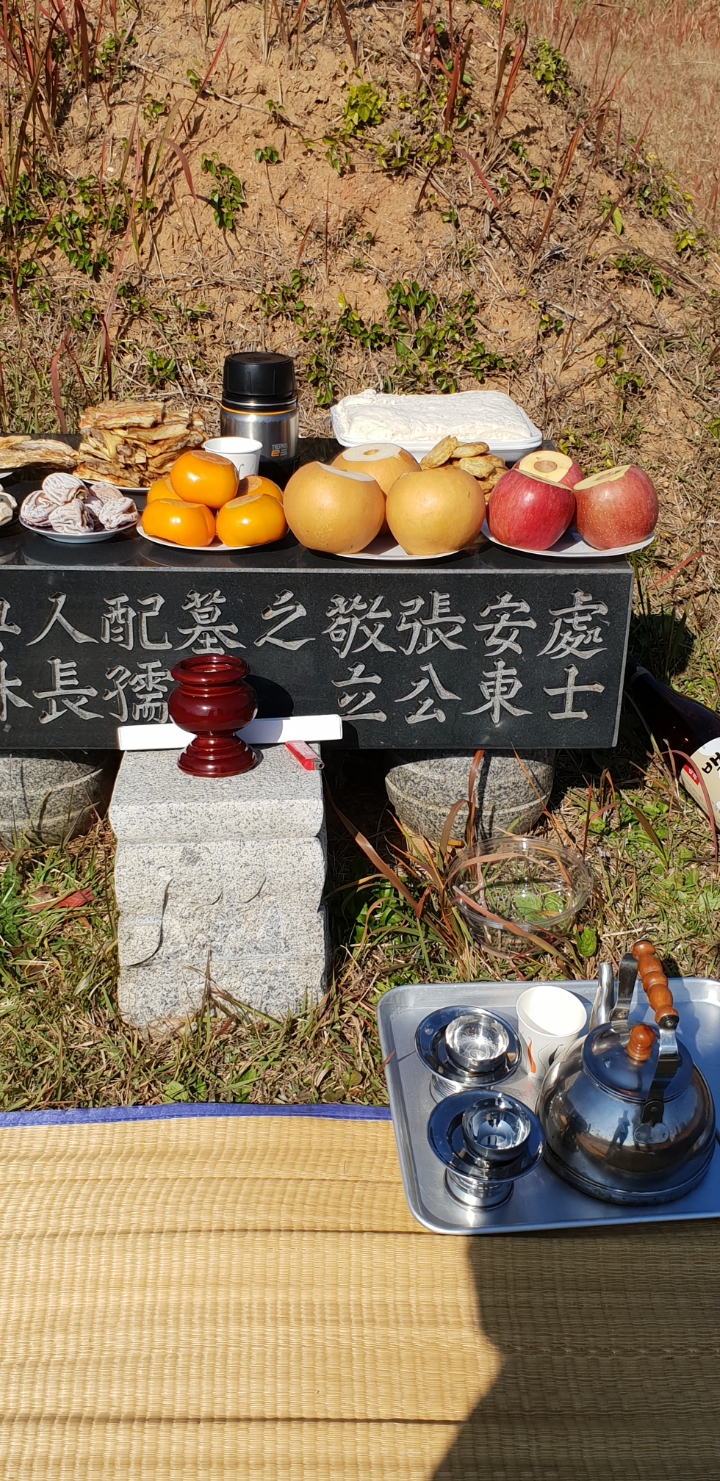 시제 이미지