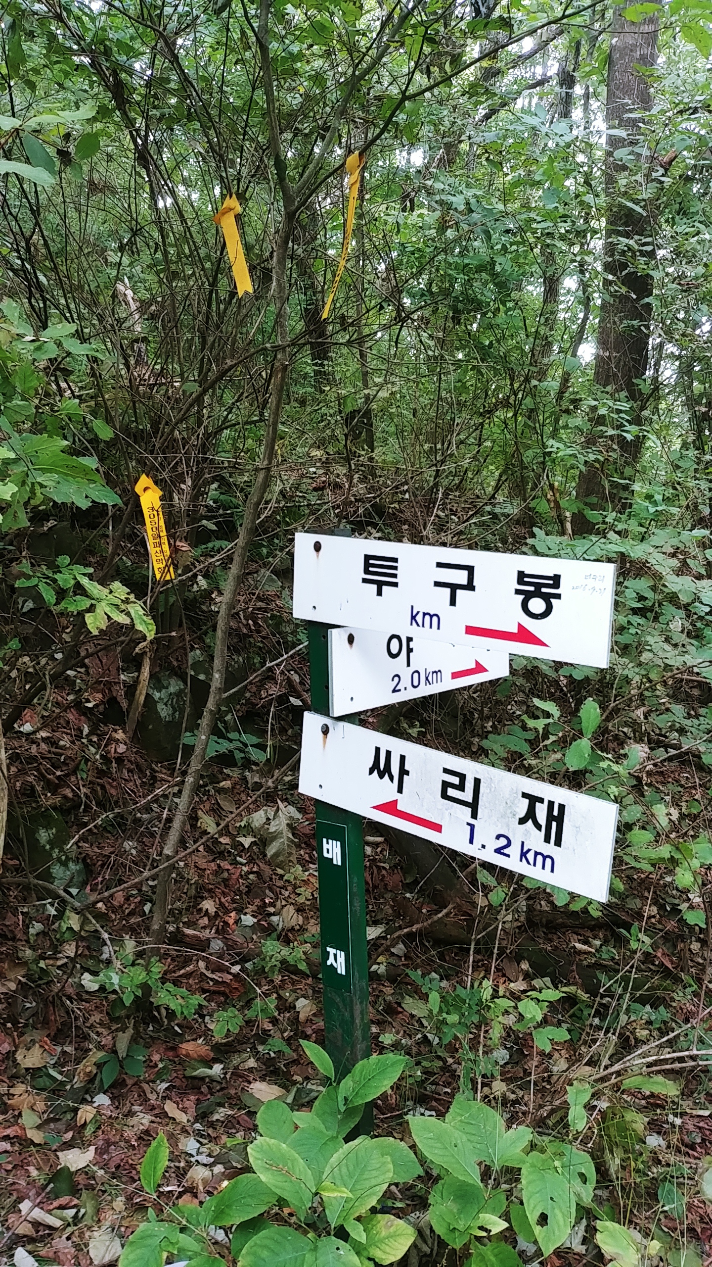 죽령 이미지
