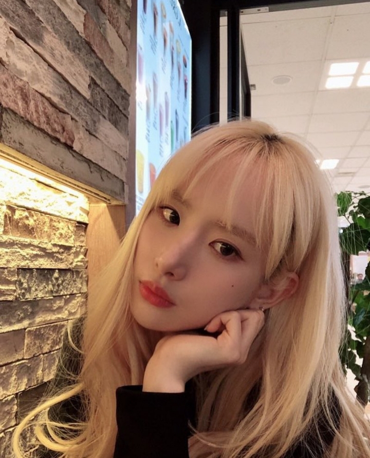 설아언니 이미지