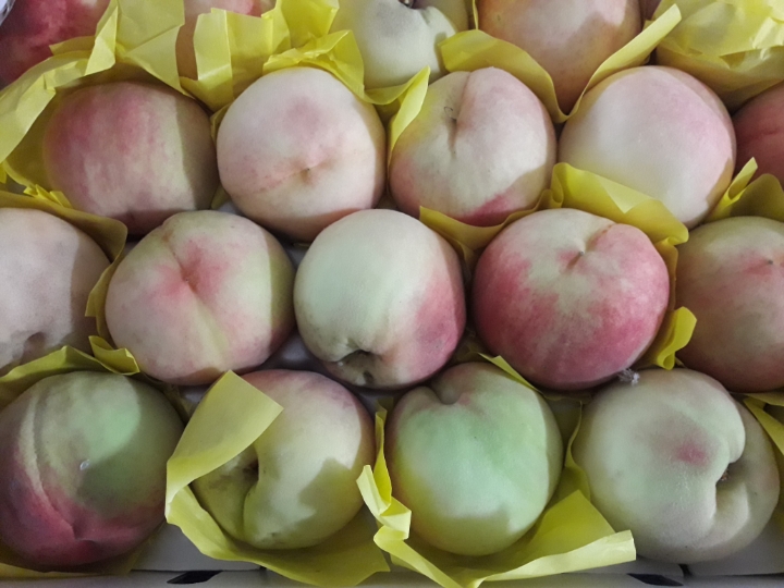 맛나라 이미지