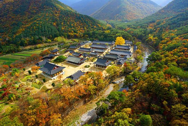 금수강산 이미지