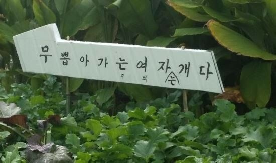 정감이 이미지