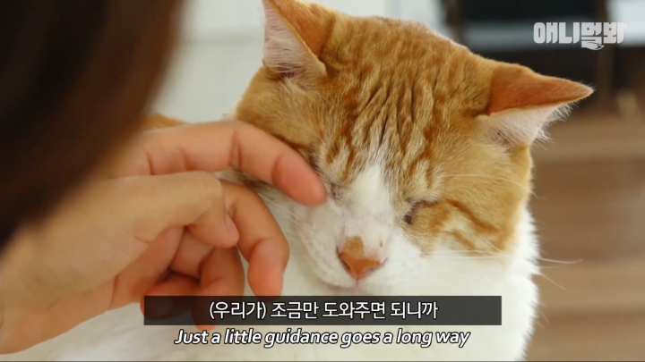 [TV동물농장] 나에게는 특별한 눈이 있어요 | 인스티즈