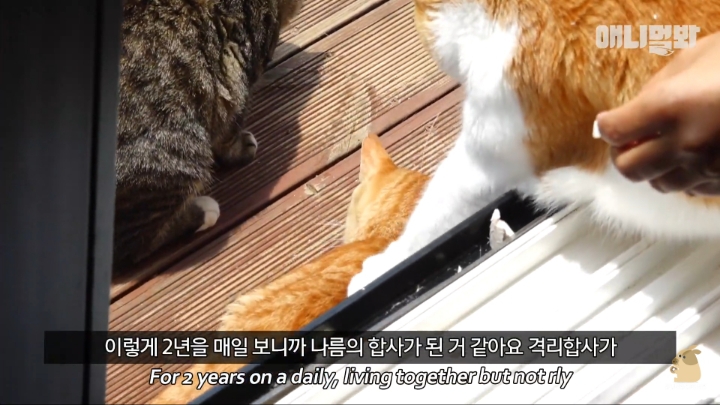 [TV동물농장] 나에게는 특별한 눈이 있어요 | 인스티즈