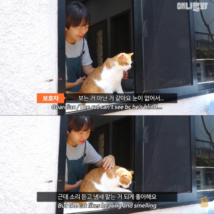 [TV동물농장] 나에게는 특별한 눈이 있어요 | 인스티즈