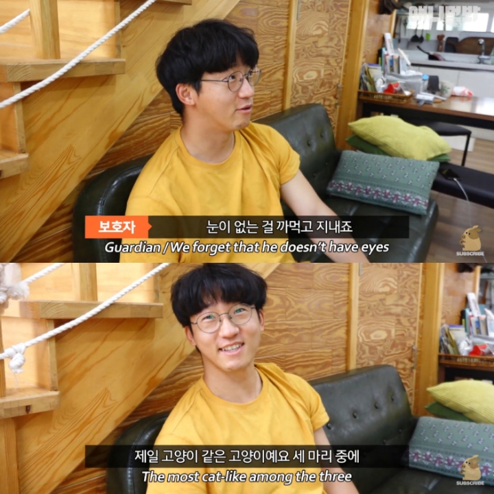 [TV동물농장] 나에게는 특별한 눈이 있어요 | 인스티즈