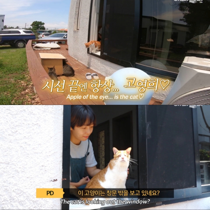 [TV동물농장] 나에게는 특별한 눈이 있어요 | 인스티즈