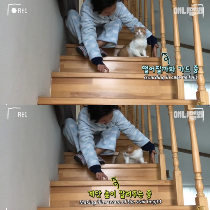 [TV동물농장] 나에게는 특별한 눈이 있어요 | 인스티즈