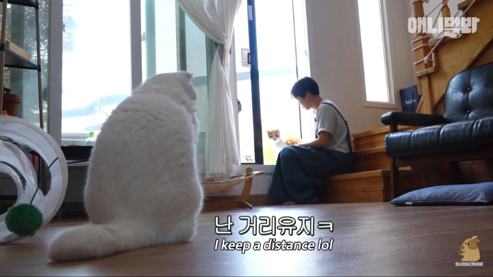 [TV동물농장] 나에게는 특별한 눈이 있어요 | 인스티즈