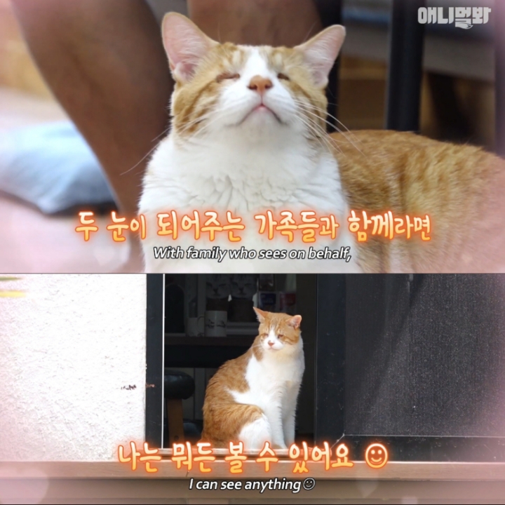 [TV동물농장] 나에게는 특별한 눈이 있어요 | 인스티즈