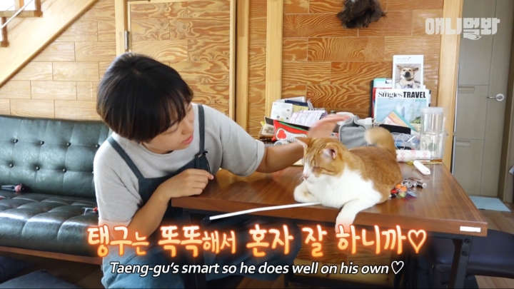 [TV동물농장] 나에게는 특별한 눈이 있어요 | 인스티즈