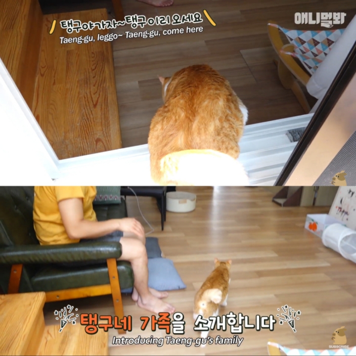 [TV동물농장] 나에게는 특별한 눈이 있어요 | 인스티즈