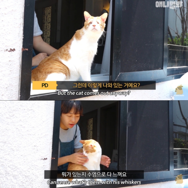 [TV동물농장] 나에게는 특별한 눈이 있어요 | 인스티즈