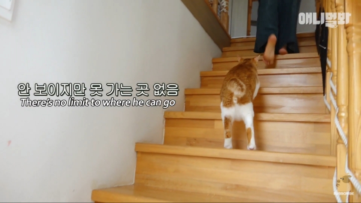 [TV동물농장] 나에게는 특별한 눈이 있어요 | 인스티즈