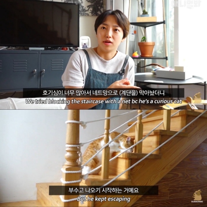 [TV동물농장] 나에게는 특별한 눈이 있어요 | 인스티즈