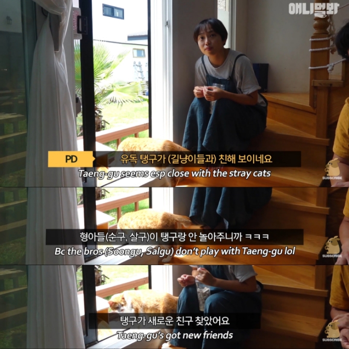 [TV동물농장] 나에게는 특별한 눈이 있어요 | 인스티즈