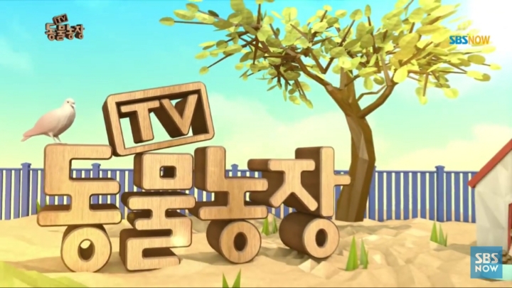 [TV동물농장] 나에게는 특별한 눈이 있어요 | 인스티즈