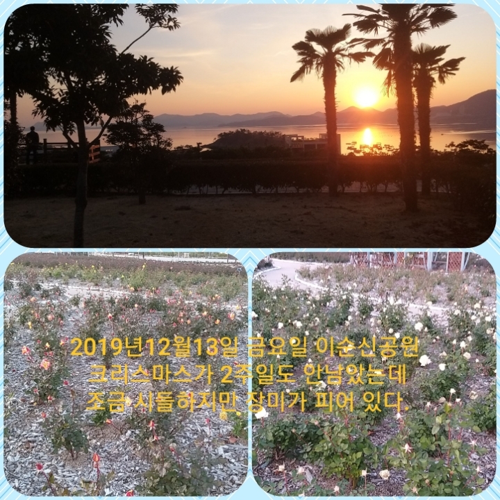달리다컴 이미지