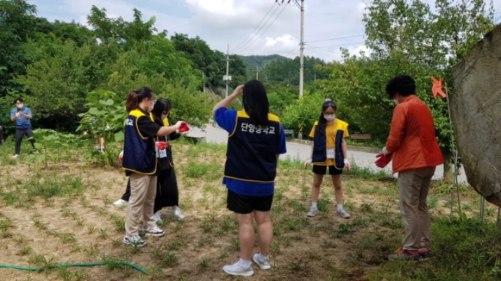 단양중학교 이미지