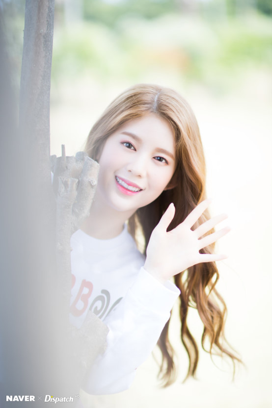 데이지데이 이미지