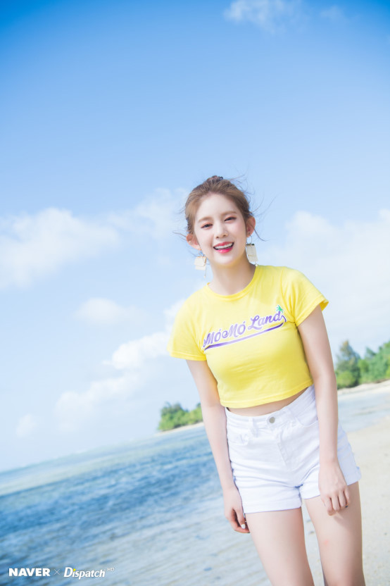 데이지데이 이미지