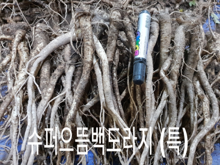 정성슈퍼 이미지