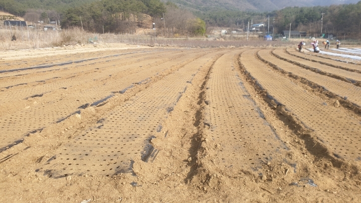 까치수퍼 이미지
