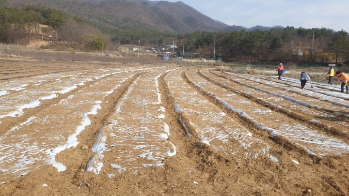 까치수퍼 이미지