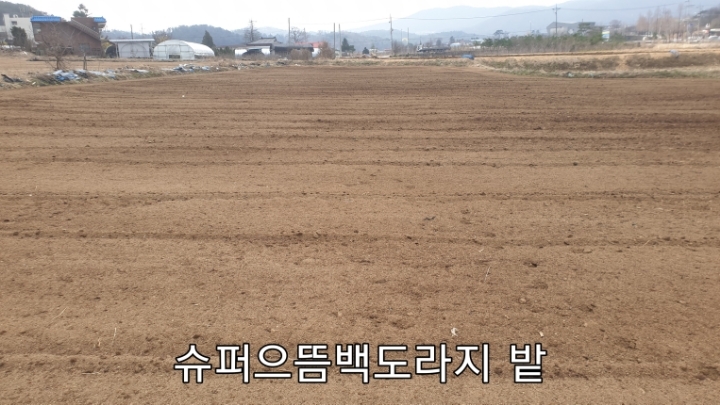 로타리슈퍼 이미지