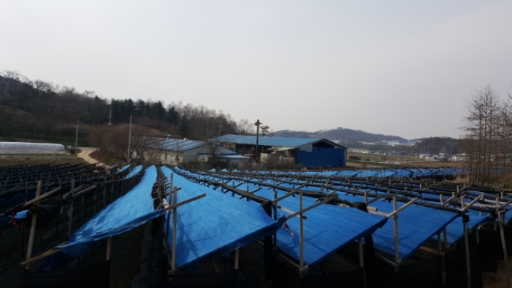 수정세탁산업 이미지