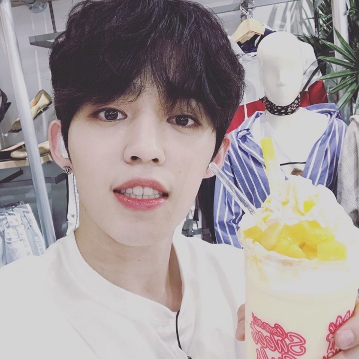 쿱스 이미지