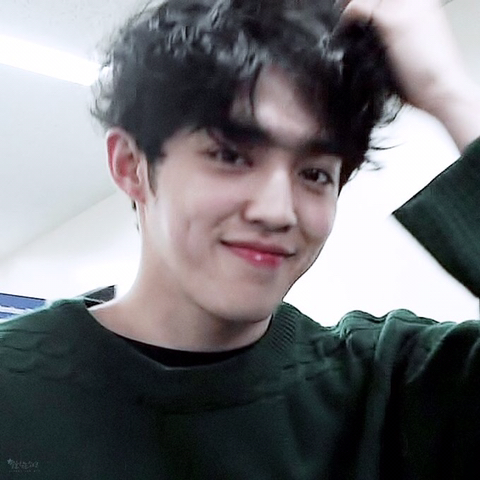 쿱스 이미지