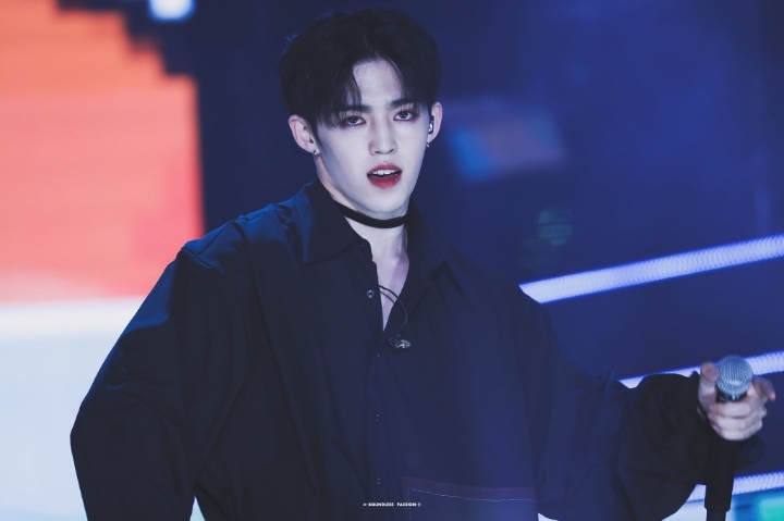 쿱스 이미지