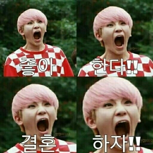 공카 이미지