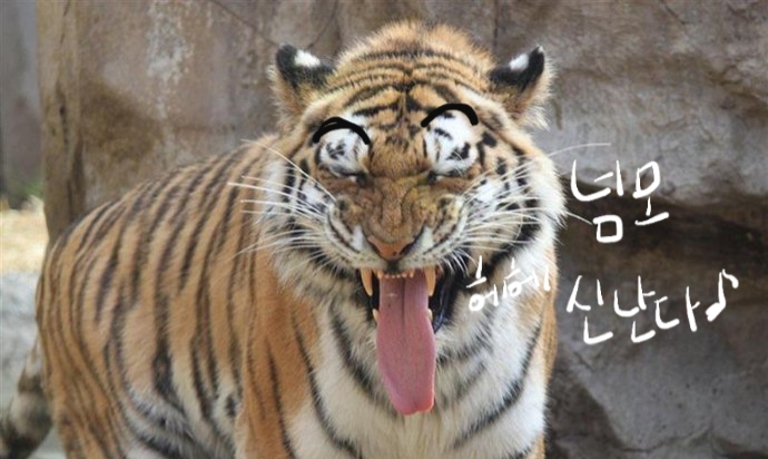 수녕김밥 이미지