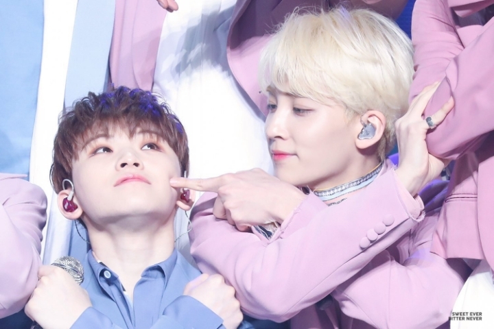 보보 이미지