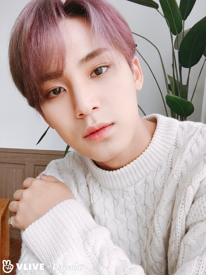 엠씨투어 이미지