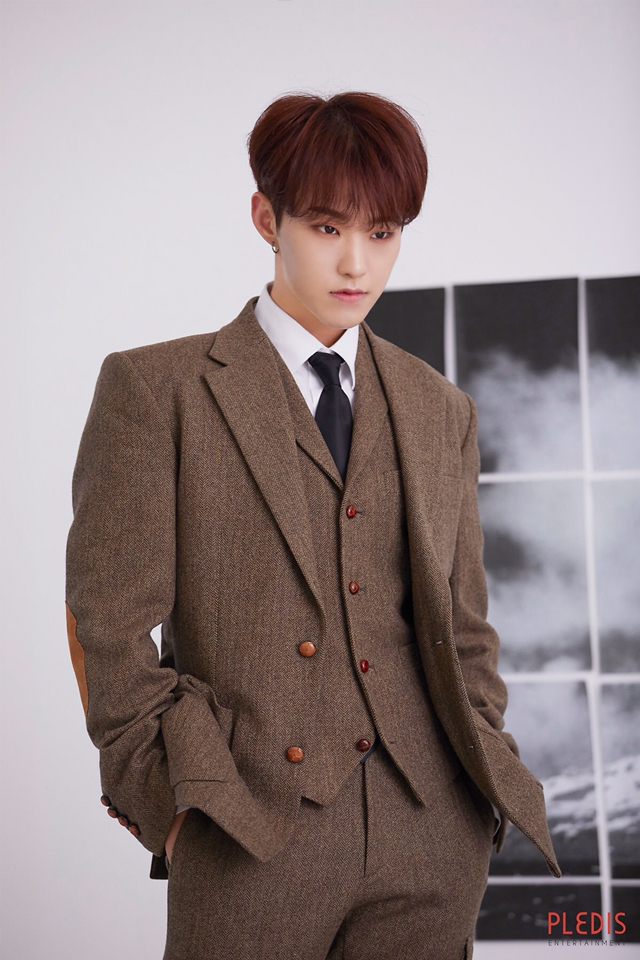 호시 이미지