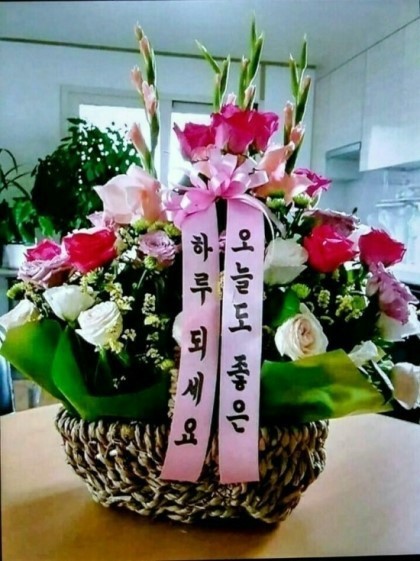 비타민노래카페 이미지