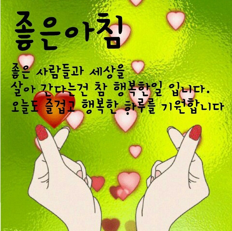 모양내기 이미지