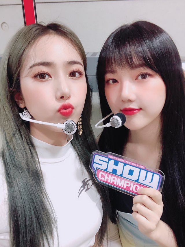 쇼챔피언을 통해 컴백하는 여자친구💙 | 인스티즈